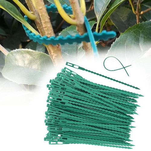 50/30 Pcs Fishbone Spur Green Landscape Reusable Garden Plastic Plant Belt Ties Tie Garden Fishbone Band Tools