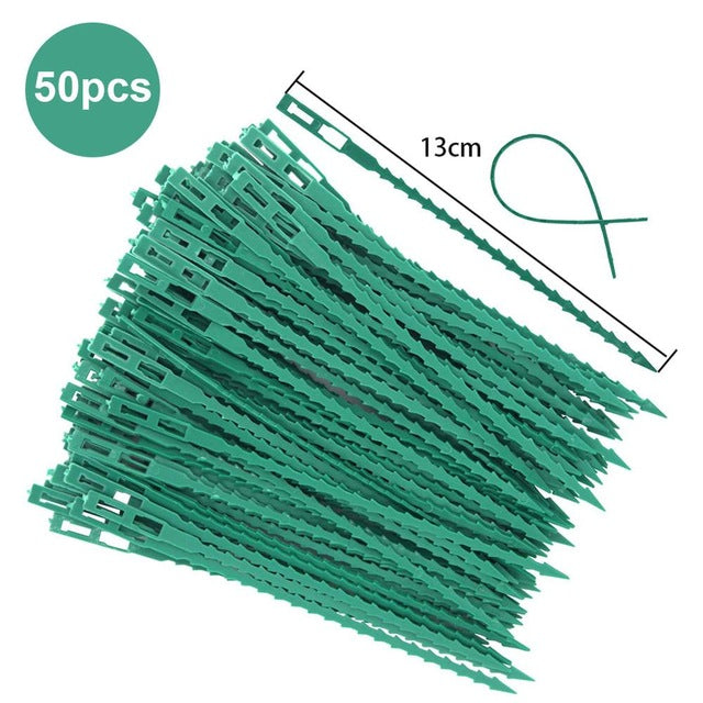 50/30 Pcs Fishbone Spur Green Landscape Reusable Garden Plastic Plant Belt Ties Tie Garden Fishbone Band Tools